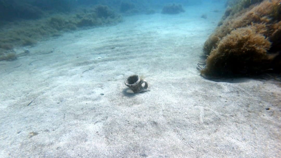 Image Plongeur Niveau 3