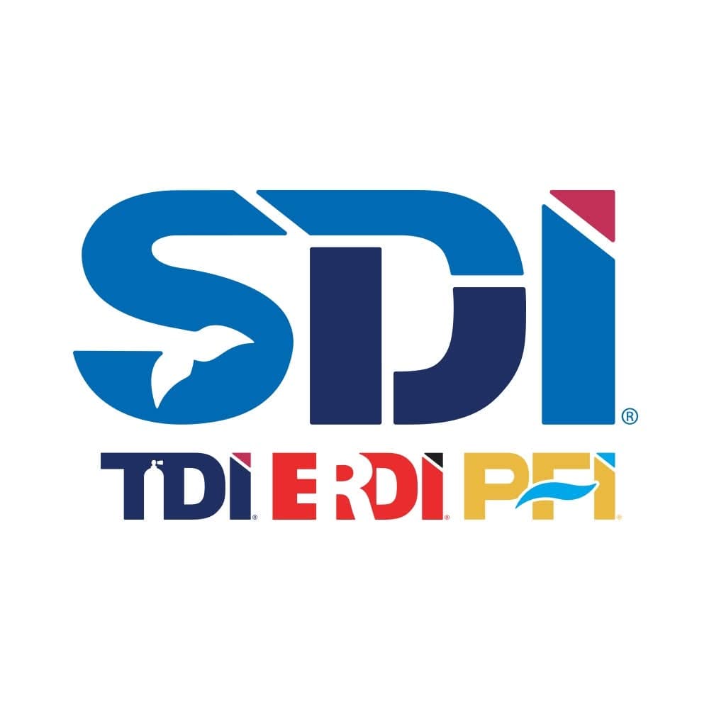 Logo SDI