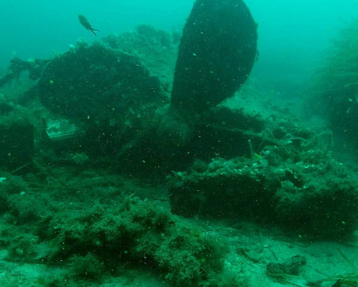Image E20